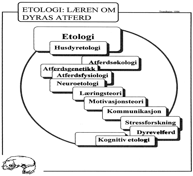 Etologi